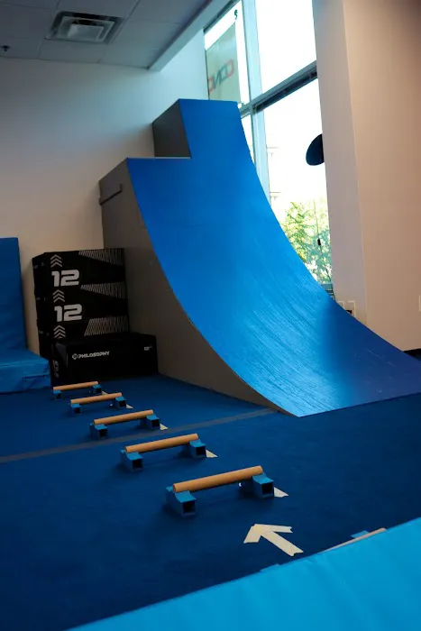 Conquer Ninja Gyms Chandler Picture 6