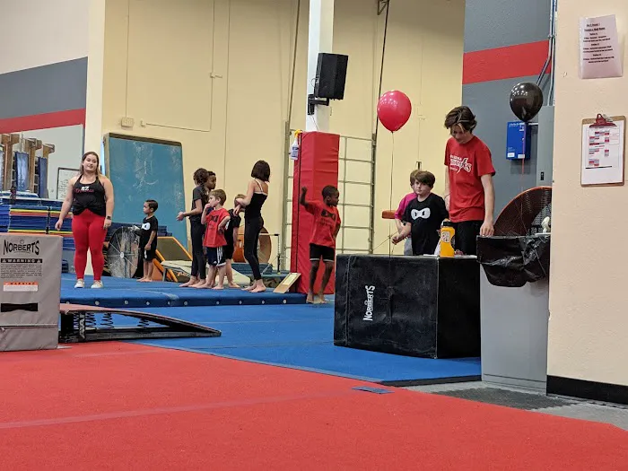 Arizona Dynamics Gymnastics Picture 2