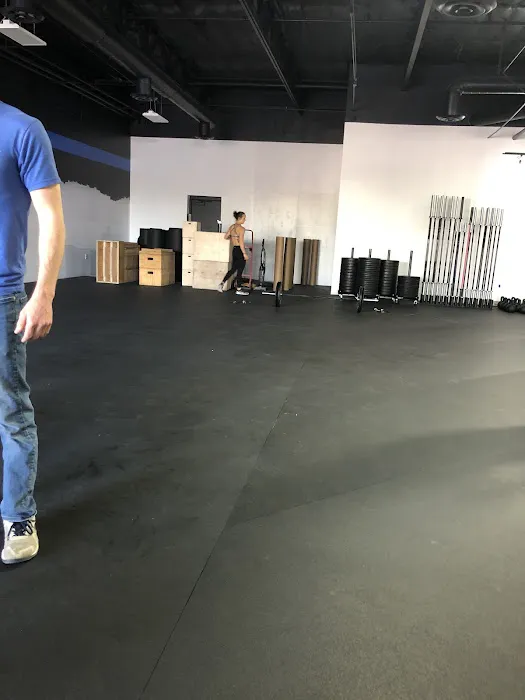 Human Equilibrium Picture 2