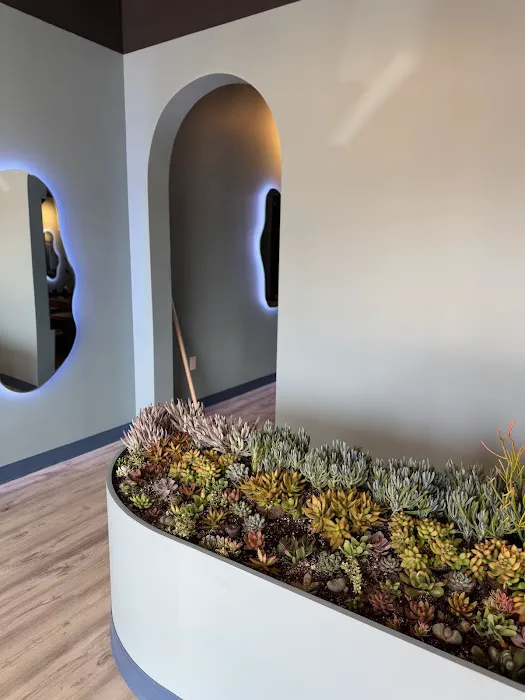 Oasis Pilates Picture 7