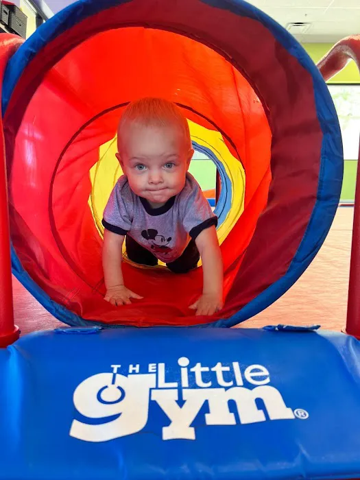 The Little Gym of Cave Creek Picture 7