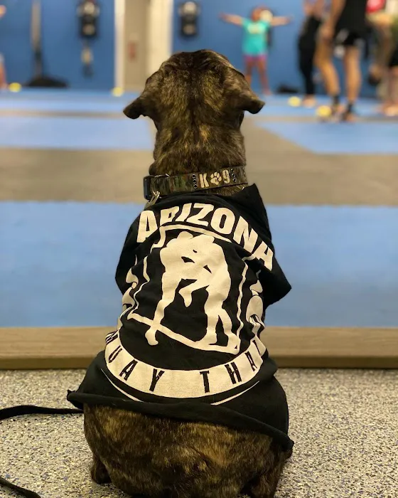 Arizona Muay Thai Picture 4