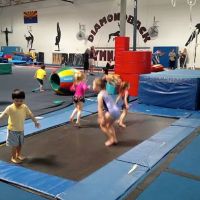 Diamondback Gymnastics ico