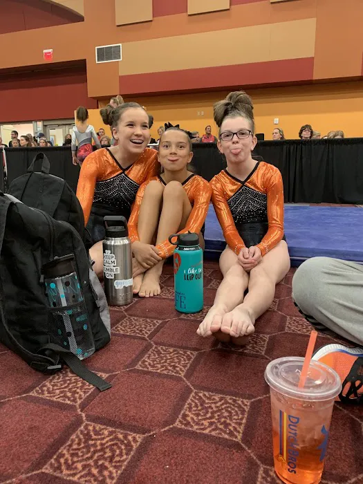 Fortis Gymnastics Academy Picture 4