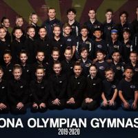Arizona Olympian Gymnastics ico
