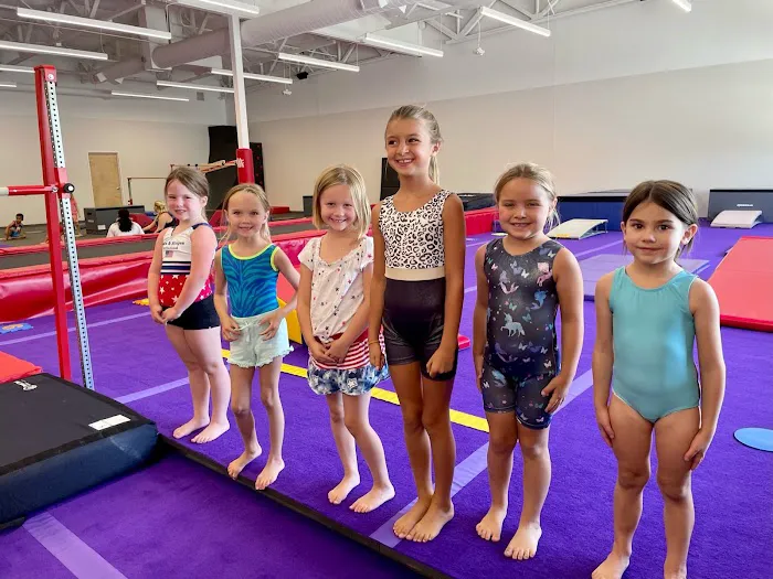 Arizona Sunrays- Carefree Hwy Picture 3