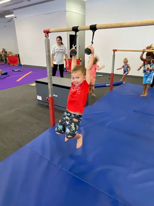 Arizona Sunrays- Carefree Hwy Picture 9