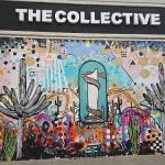 The Collective | Strength, Cycle, & Recovery Studio