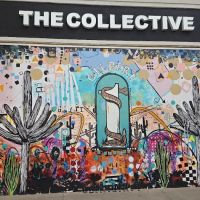 The Collective | Strength, Cycle, & Recovery Studio ico