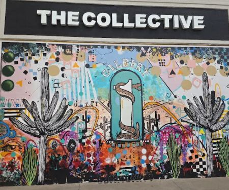 The Collective | Strength, Cycle, & Recovery Studio