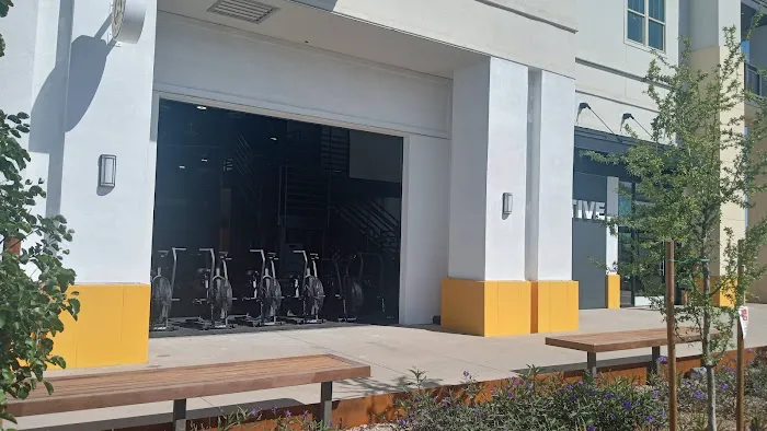 The Collective | Strength, Cycle, & Recovery Studio Picture 5