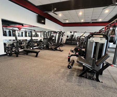 Knockout Fitness