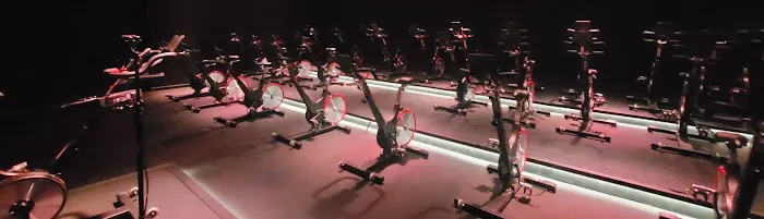 Command Cycle Studio Picture 9