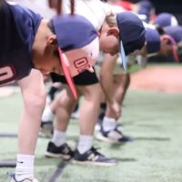 Elite Sports Training QC ico