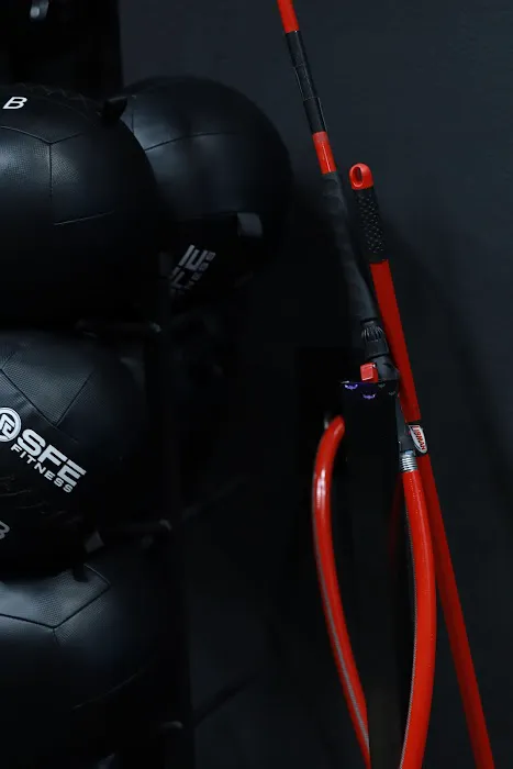 Elite Sports Training QC Picture 8