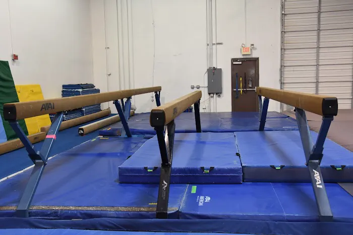 Carter's Gymnastics Academy Picture 4