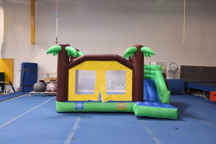 Carter's Gymnastics Academy Picture 5