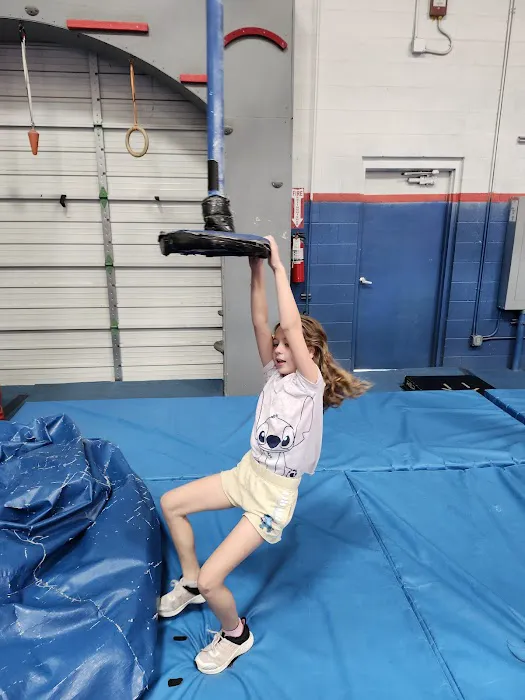 Conquer Ninja Gilbert Picture 5