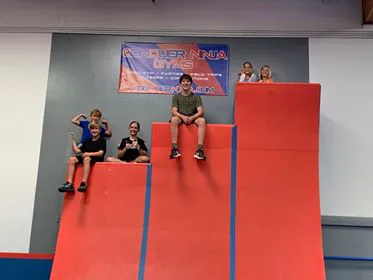 Conquer Ninja Gilbert Picture 8