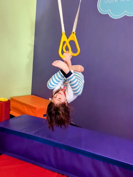 The Little Gym of Queen Creek Picture 10