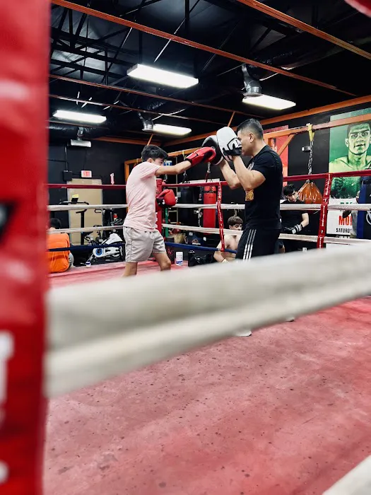 Ramos Boxing Academy Picture 4