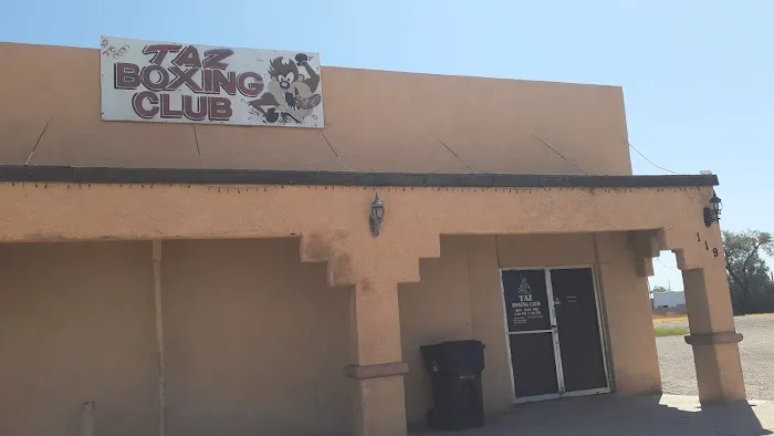 Taz Boxing Club Picture 1