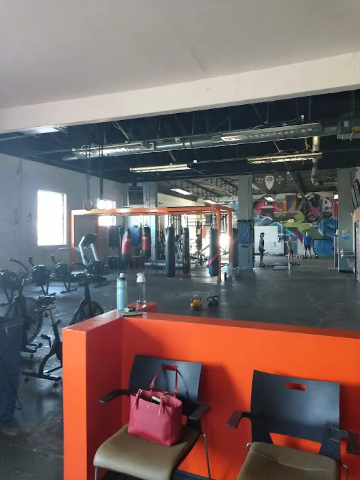 REAL RESULTS Fitness Picture 6