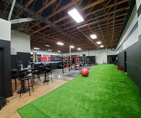 3D Boxing And Fitness