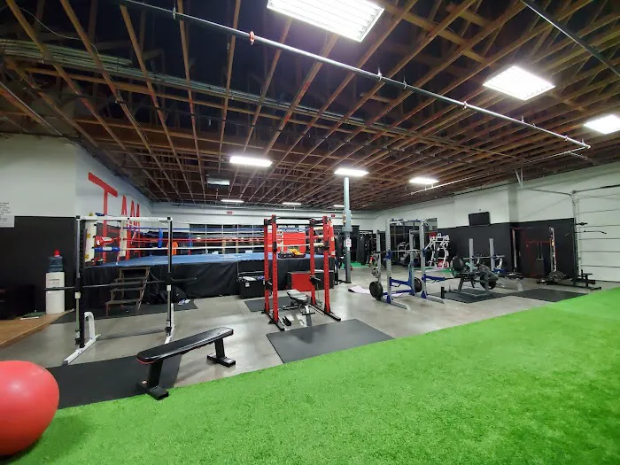 3D Boxing And Fitness Picture 3