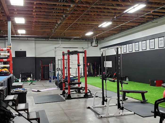 3D Boxing And Fitness Picture 2