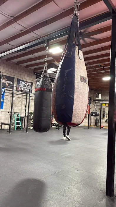 Barry's Boxing Picture 5