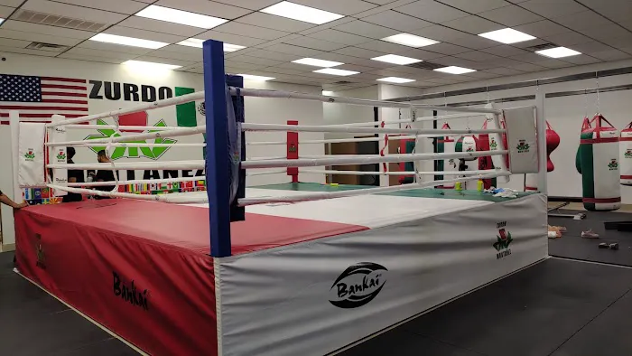 Zurdo Montanez Boxing Gym LLC Picture 1