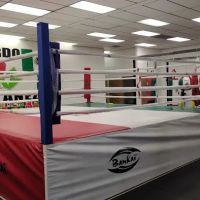Zurdo Montanez Boxing Gym LLC ico