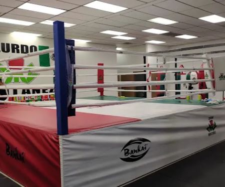 Zurdo Montanez Boxing Gym LLC