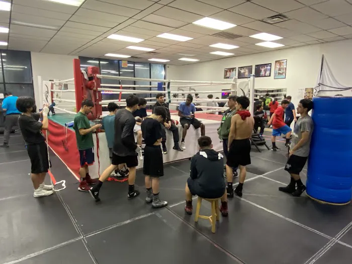 Zurdo Montanez Boxing Gym LLC Picture 7