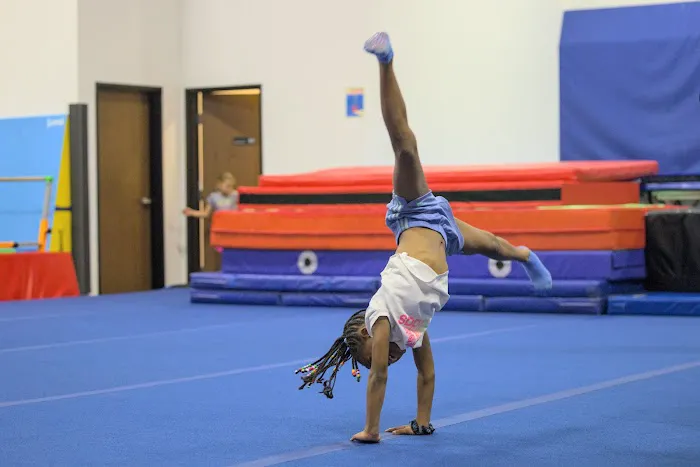 Star Sky Gymnastics Picture 5