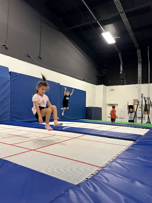 Star Sky Gymnastics Picture 8