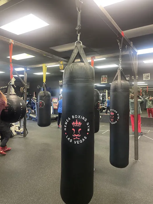 Nemea Boxing - Las Vegas Boxing Gym Picture 9