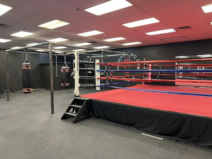 Nemea Boxing - Las Vegas Boxing Gym Picture 3