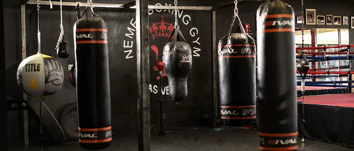 Nemea Boxing - Las Vegas Boxing Gym Picture 1