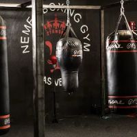 Nemea Boxing - Las Vegas Boxing Gym ico