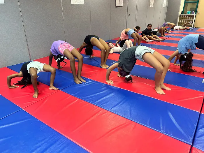 Be Beyond Great Tumbling Studio Picture 5