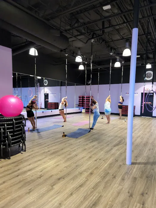 Pole Kisses, Bungee and Aerial Fitness Picture 5