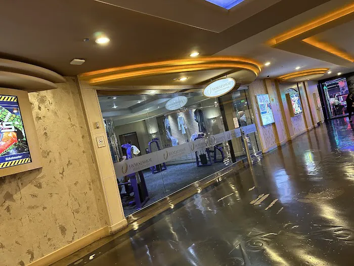 Horseshoe Fitness Center Picture 4