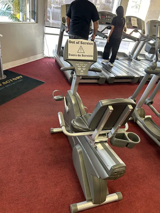 Fitness Factory Picture 5
