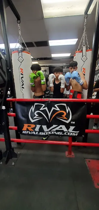 Las Vegas Fight Club Picture 4