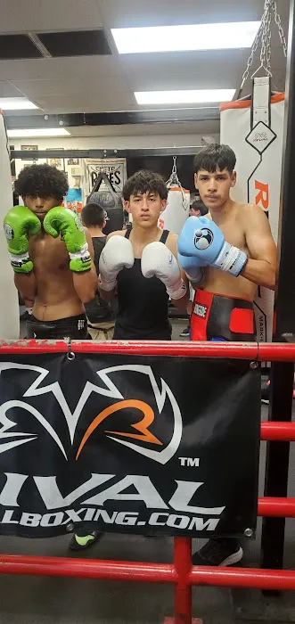 Las Vegas Fight Club Picture 3