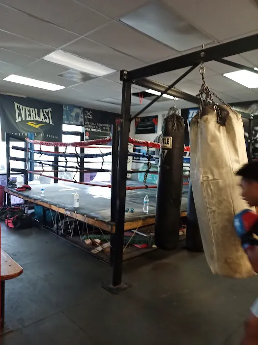 Las Vegas Fight Club Picture 10