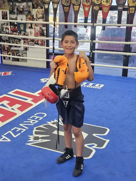 Las Vegas Fight Club Picture 9