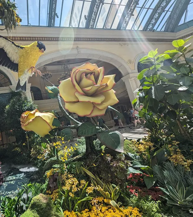 Bellagio Spa & Salon Picture 6